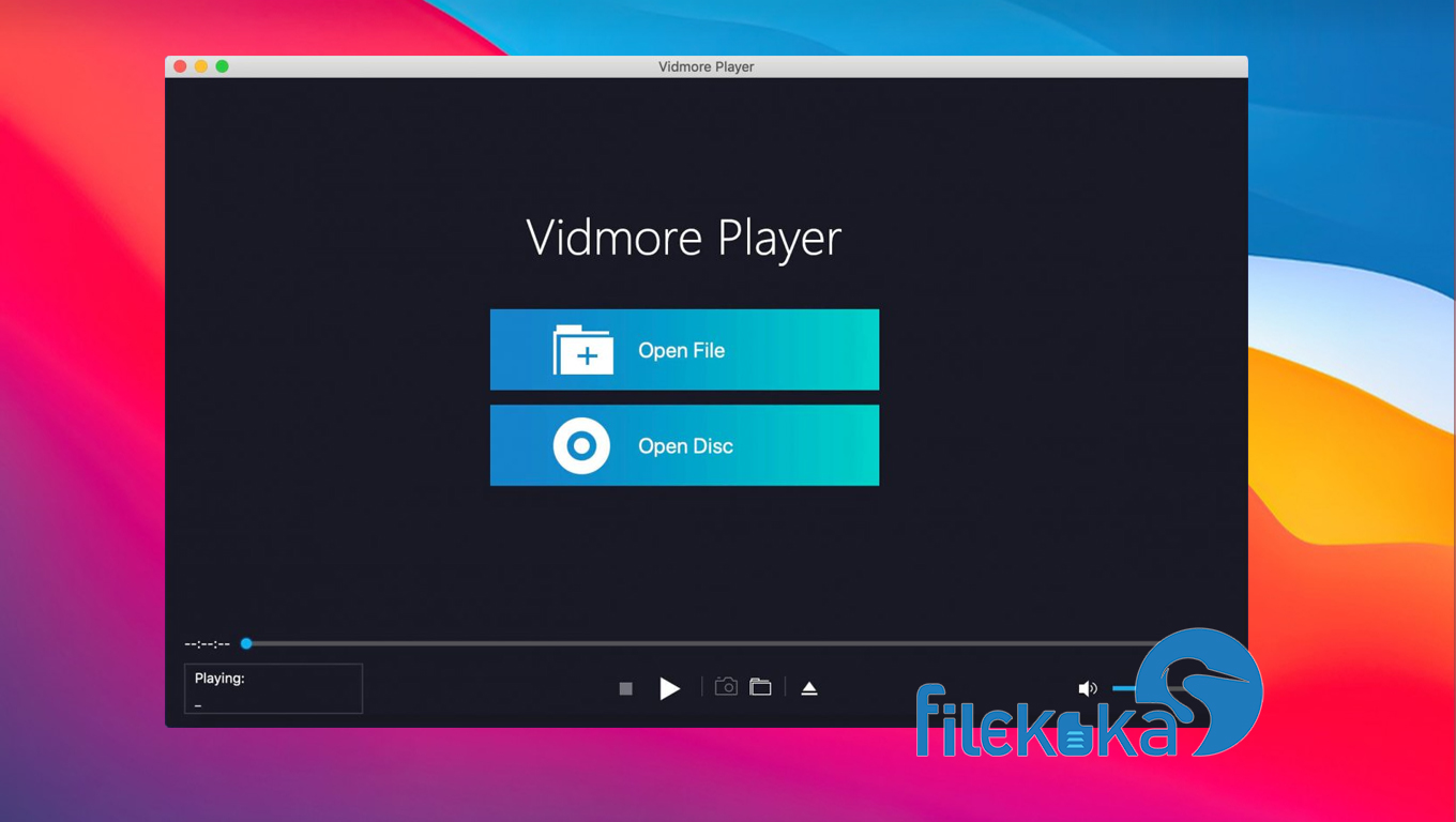 Vidmore Player